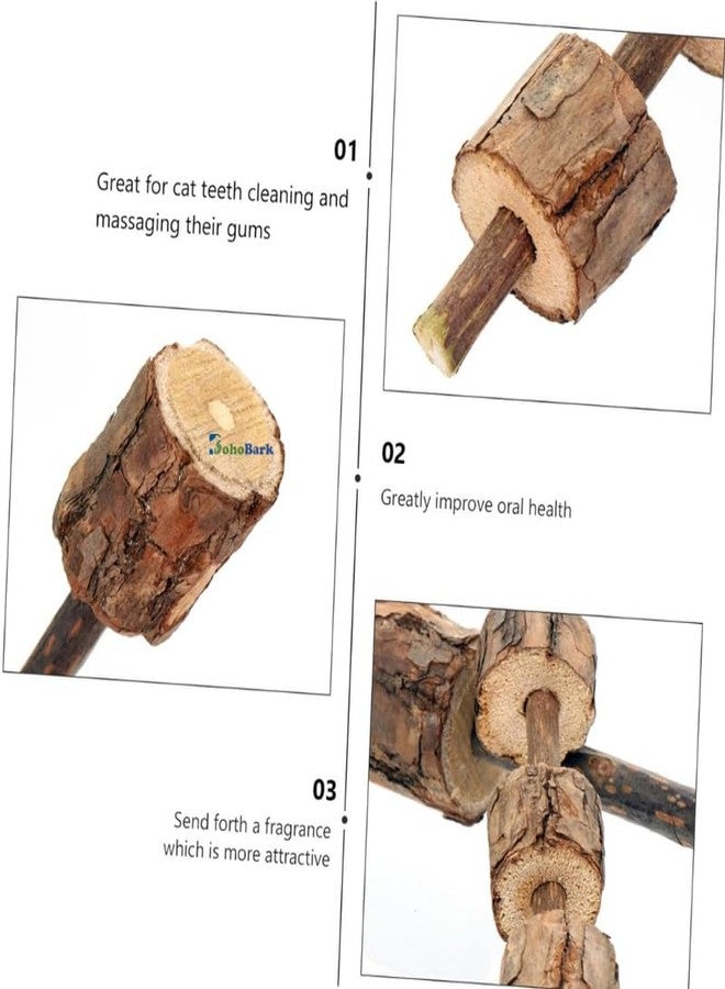 BohoBark مجموعة بوهوبارك من قطعتين من ألعاب مضغ العصي الخشبية الطبيعية للحيوانات الأليفة الصغيرة - الهامستر والأرانب وخنازير غينيا والشنشيلات والقوارض - Image 3